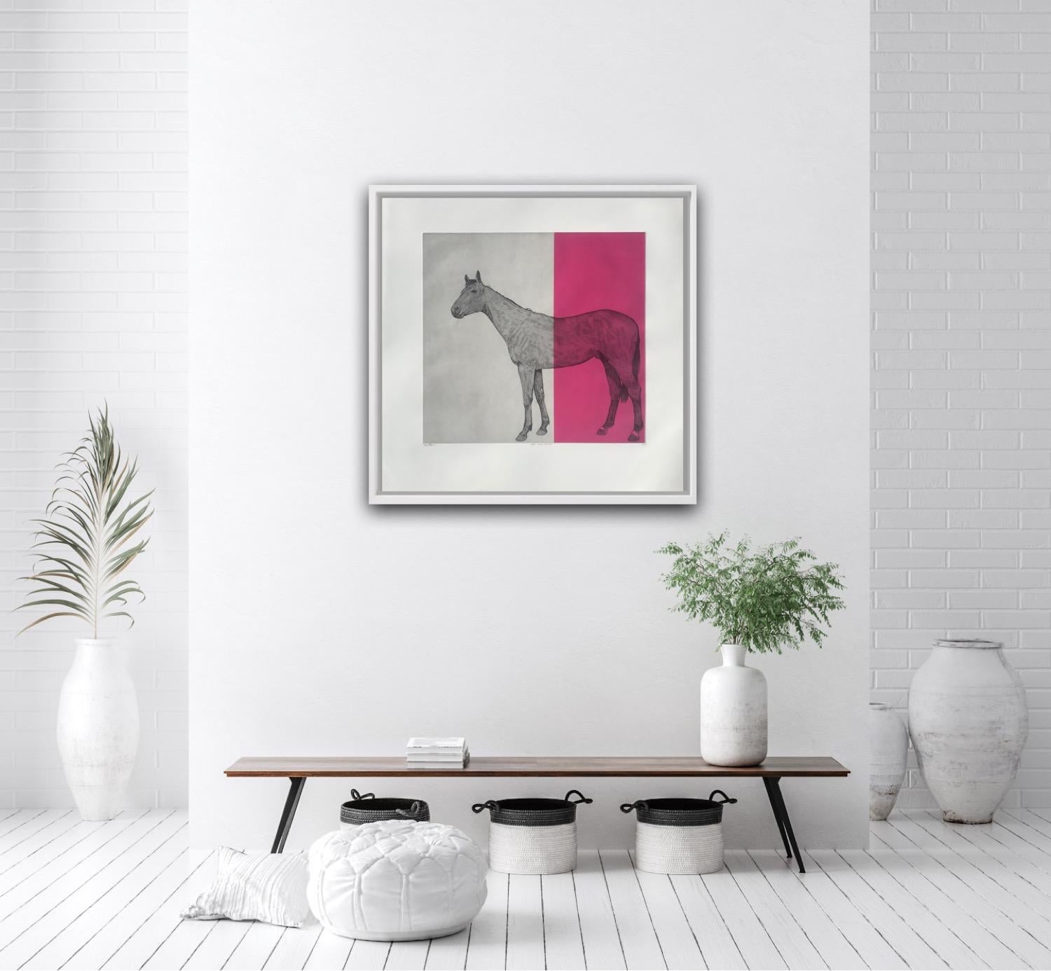 Guy Allen, Horse Study Fuschia, Horse Art Prints, Limited Edition Print For Sale 2