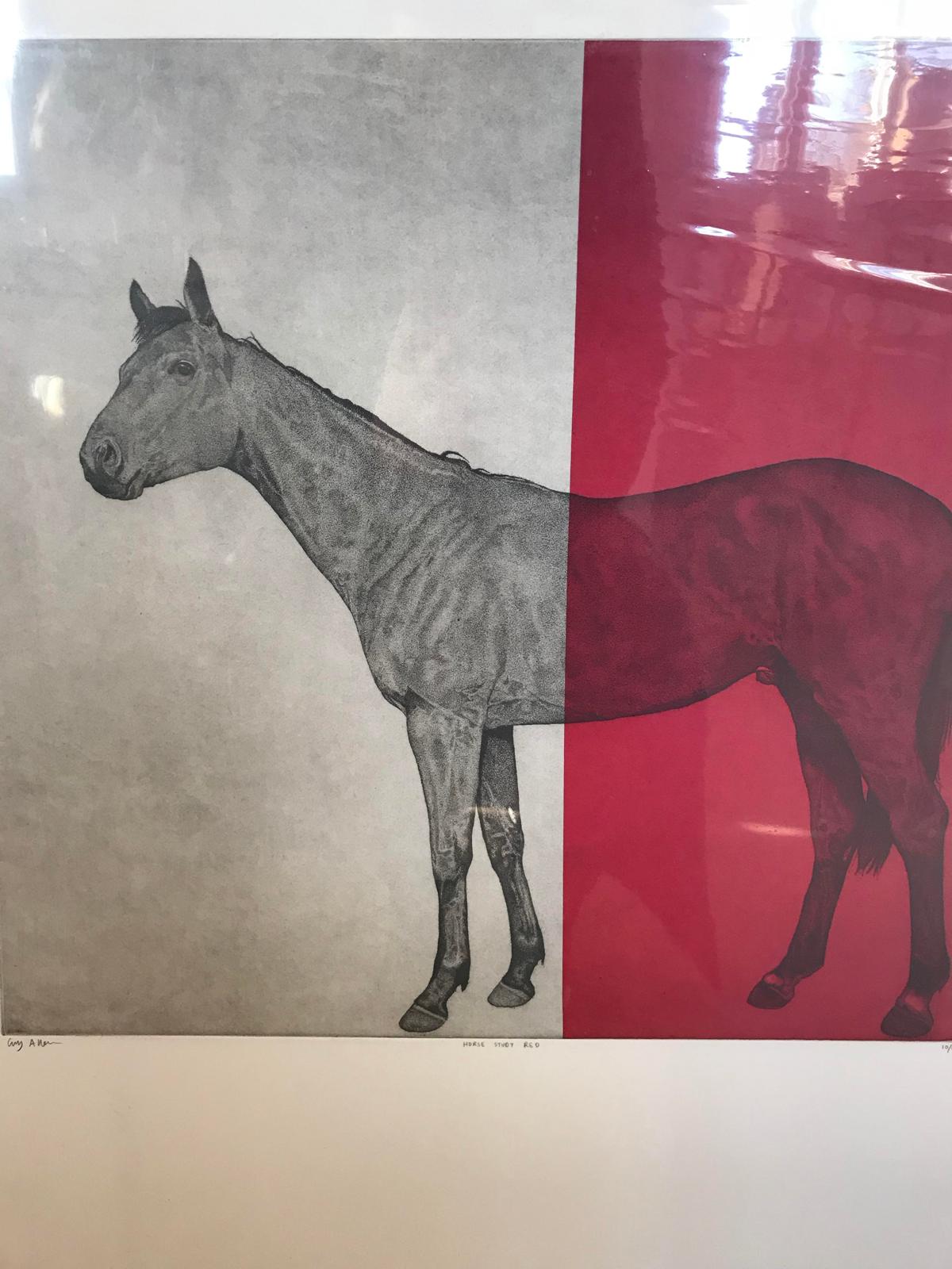 Hosre Study Red, Guy Allen, Arte luminosa, Arte rossa, Arte animale, Stampe moderne equine in vendita 4