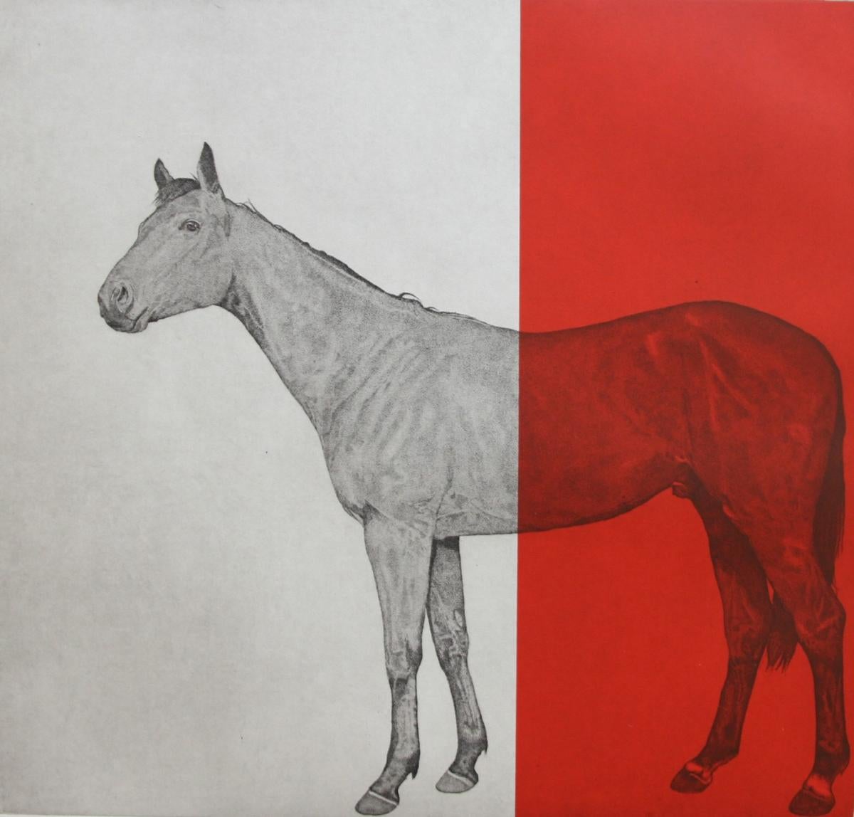 Guy Allen - Hosre Study Red, Guy Allen, Bright Art, Red Art, Animal Art,  ModernEquine Prints For Sale at 1stDibs