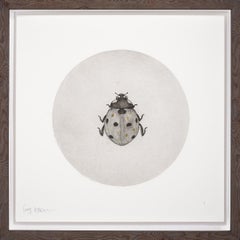 Ladybird by Guy Allen.  Print from an etching with wooden frame