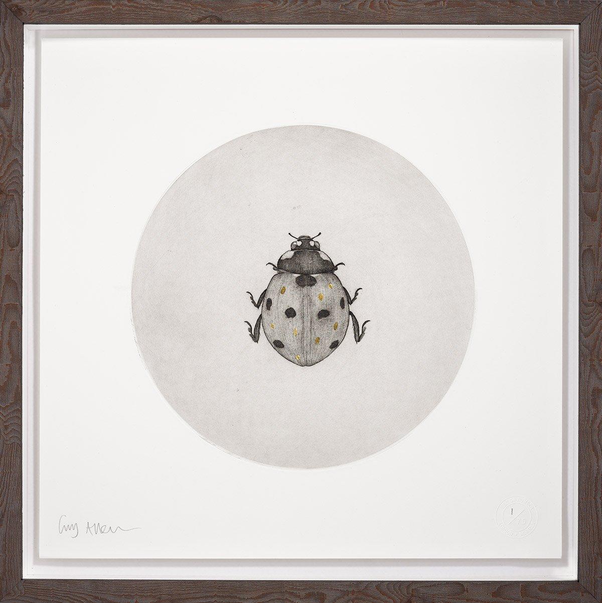 The ladybird, locally known in Norfolk as a bishy barnabee…

Guy Allen’s etchings inspired by the fauna of Norfolk have a remarkable level of detail.  His etchings capture the character and spirit of his subjects.

Etching on 300gsm Somerset paper