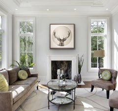 Moon Stag by Guy Allen.  Print from copper plate etching.  Framed