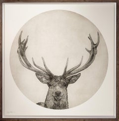 Moon Stag by Guy Allen.  Print from copper plate etching.  Framed