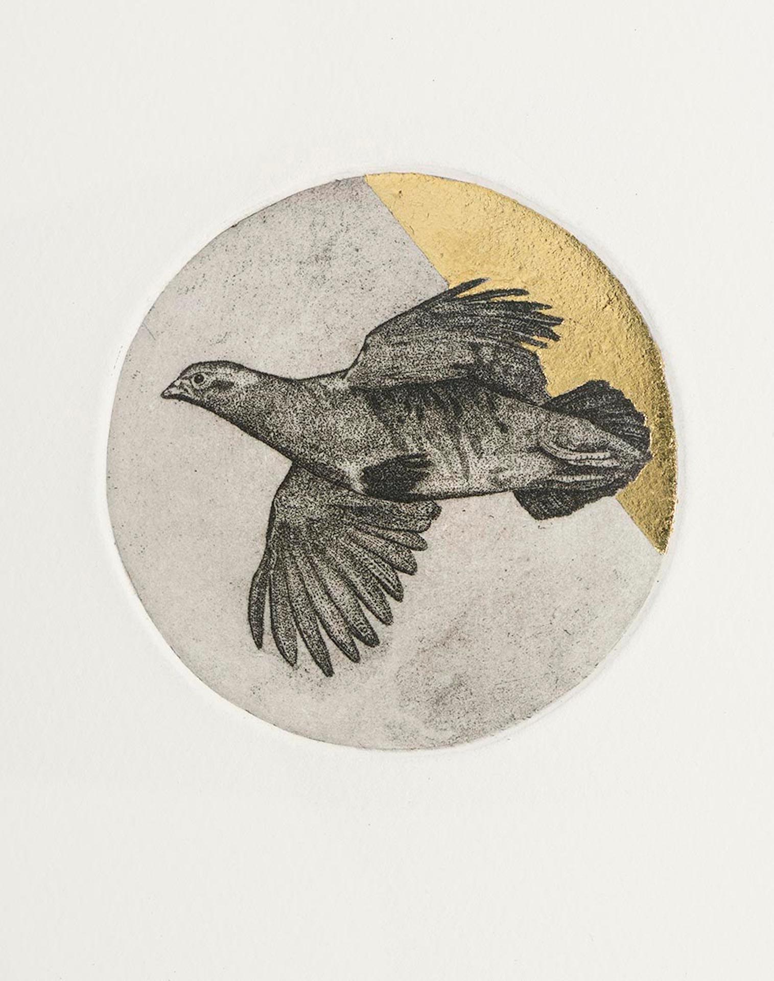 Partridge Study by Artist, Guy Allen.
An etching, aquatint and hand finished gold leaf on 300gsm Somerset paper.
Edition Size: 75
Year Completed: 2017
Image Size: 8.5 x 8 cm
Paper Size: 56 x 39 cm
Sold Unframed
(Please note that in situ images are