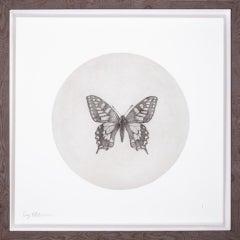 Papillon à queue d'hirondelle, Guy Allen, estampe en édition limitée, Art animalier abordable
