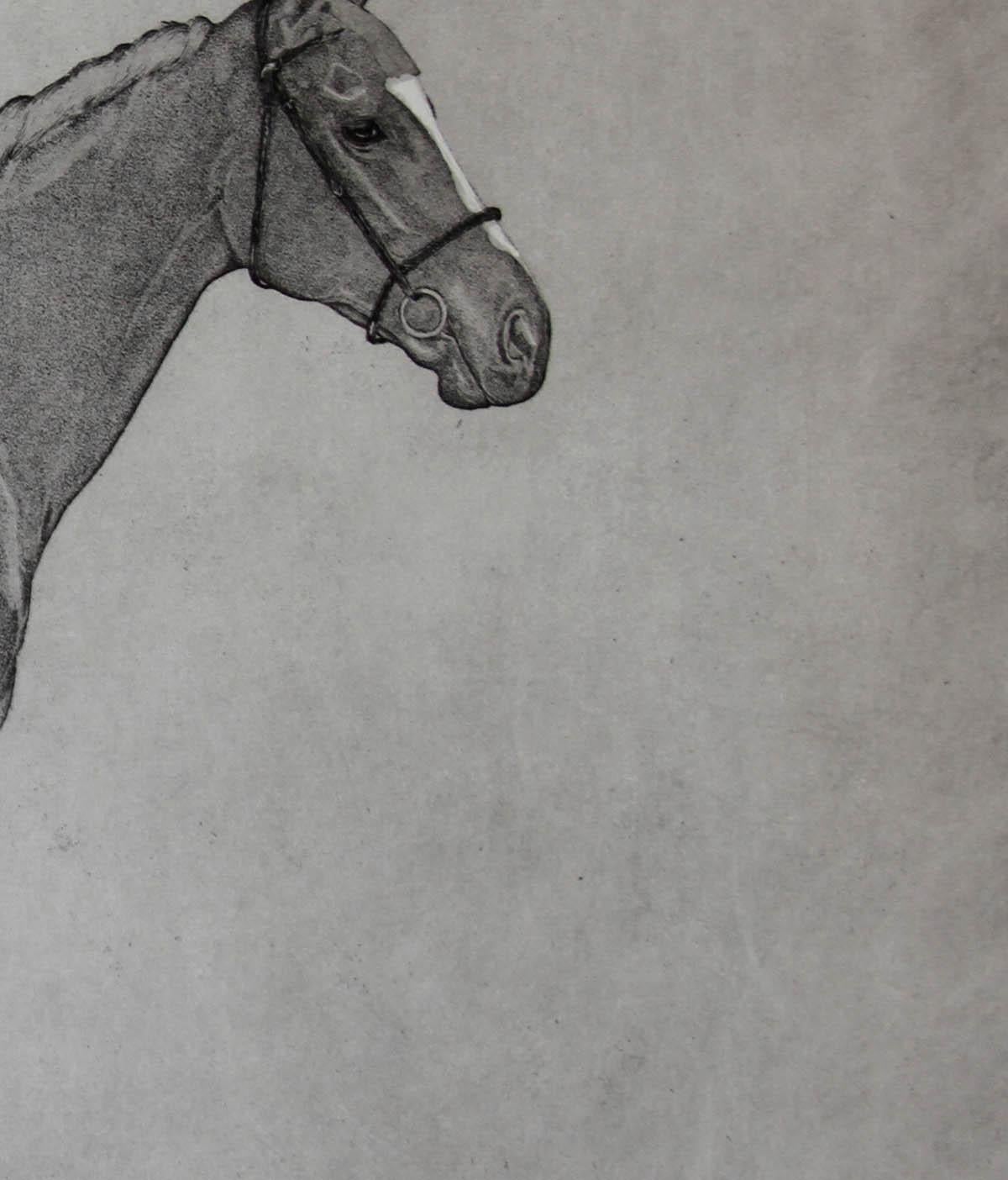 The Winner BY GUY ALLEN, Race Horse Art, Racing Art, Art of Horses, Horse Art  - Print by Guy Allen
