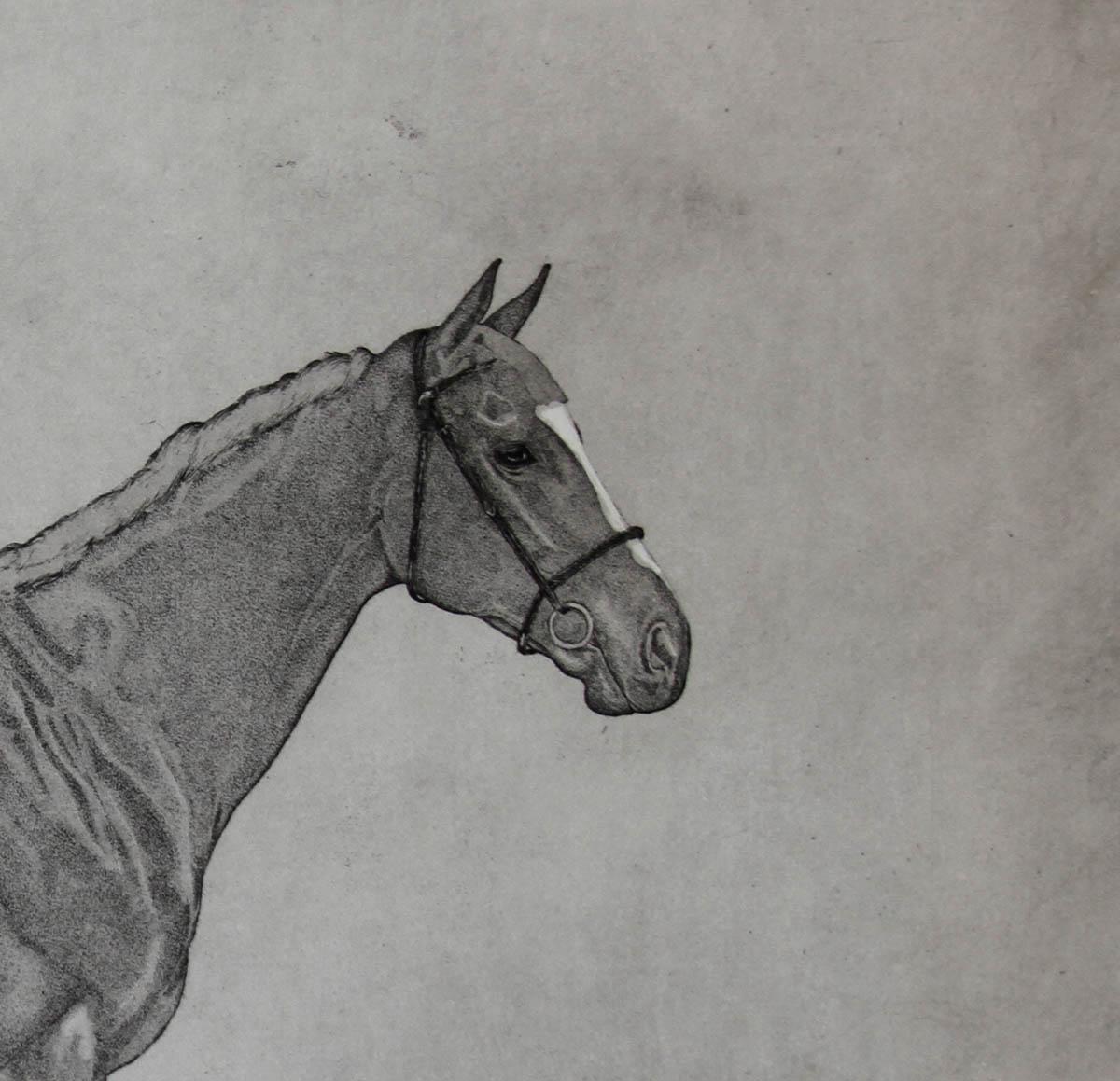 The Winner BY GUY ALLEN, Race Horse Art, Racing Art, Art of Horses, Horse Art  - Gold Animal Print by Guy Allen