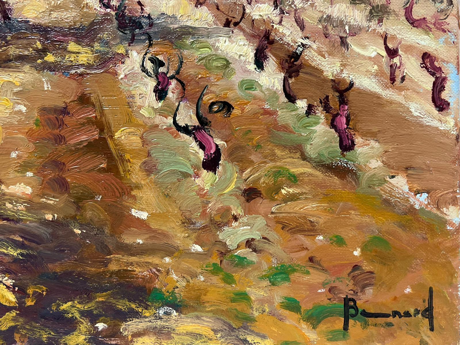 Vigneto d'autunno in Provenza Pittura ad olio originale dell'impressionista francese firmata - Painting Impressionismo di Guy Benard