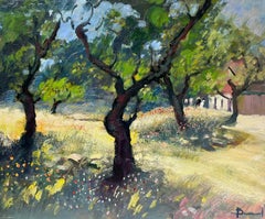 Vintage Old Gnarled Olive Groves Les Baux de Provence Signed French Impressionist Oil 