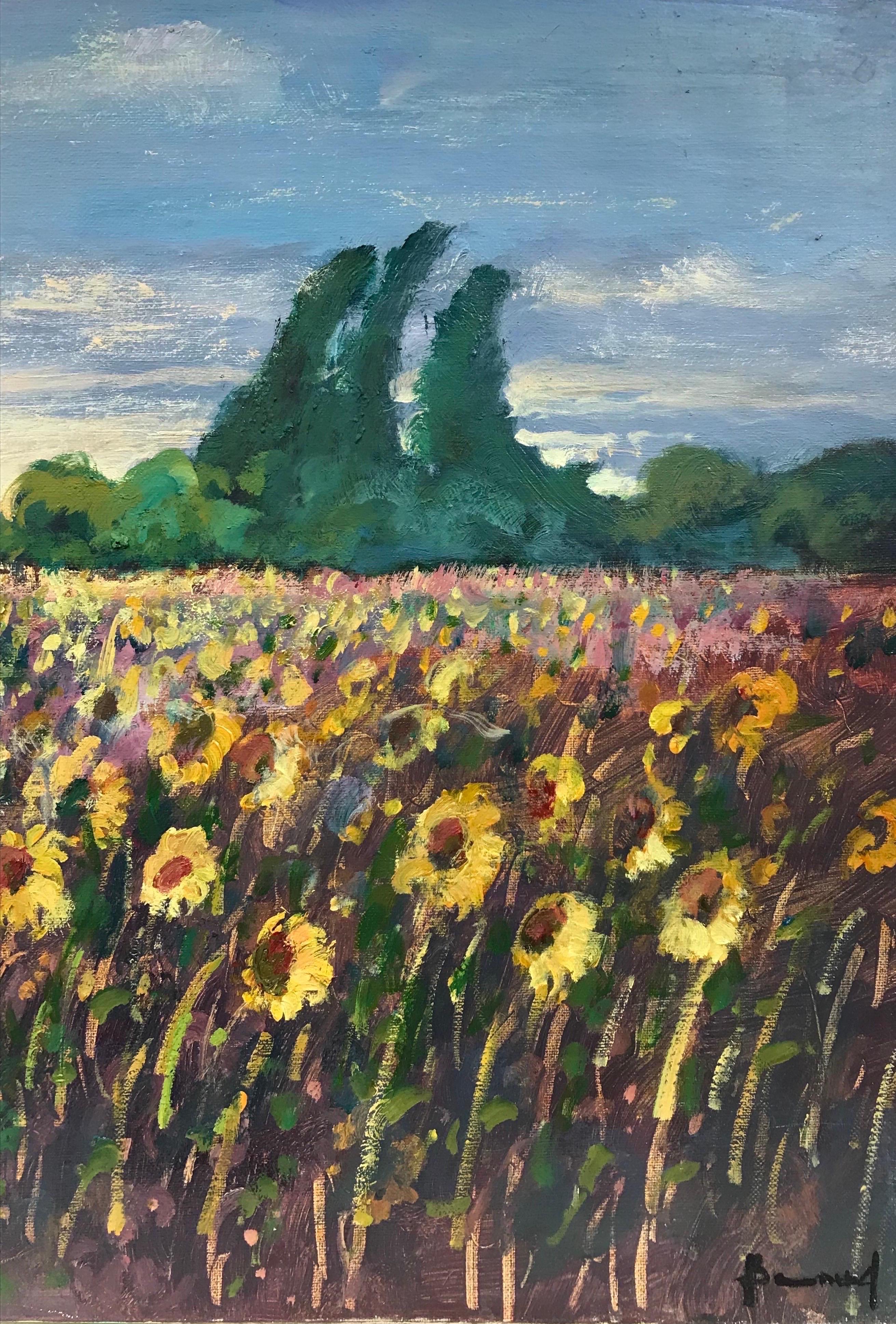 Girasoli in Provenza, dipinto a olio impressionista francese firmato - Painting Postimpressionismo di Guy Benard