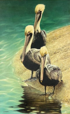 Framed Oil Painting of Three Pelicans, American Realist, Circa 1999