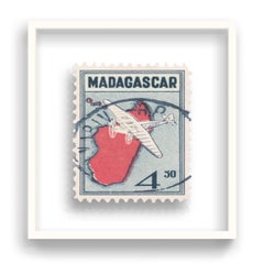 Guy Gee, Madagaskar (mittelgroß)
