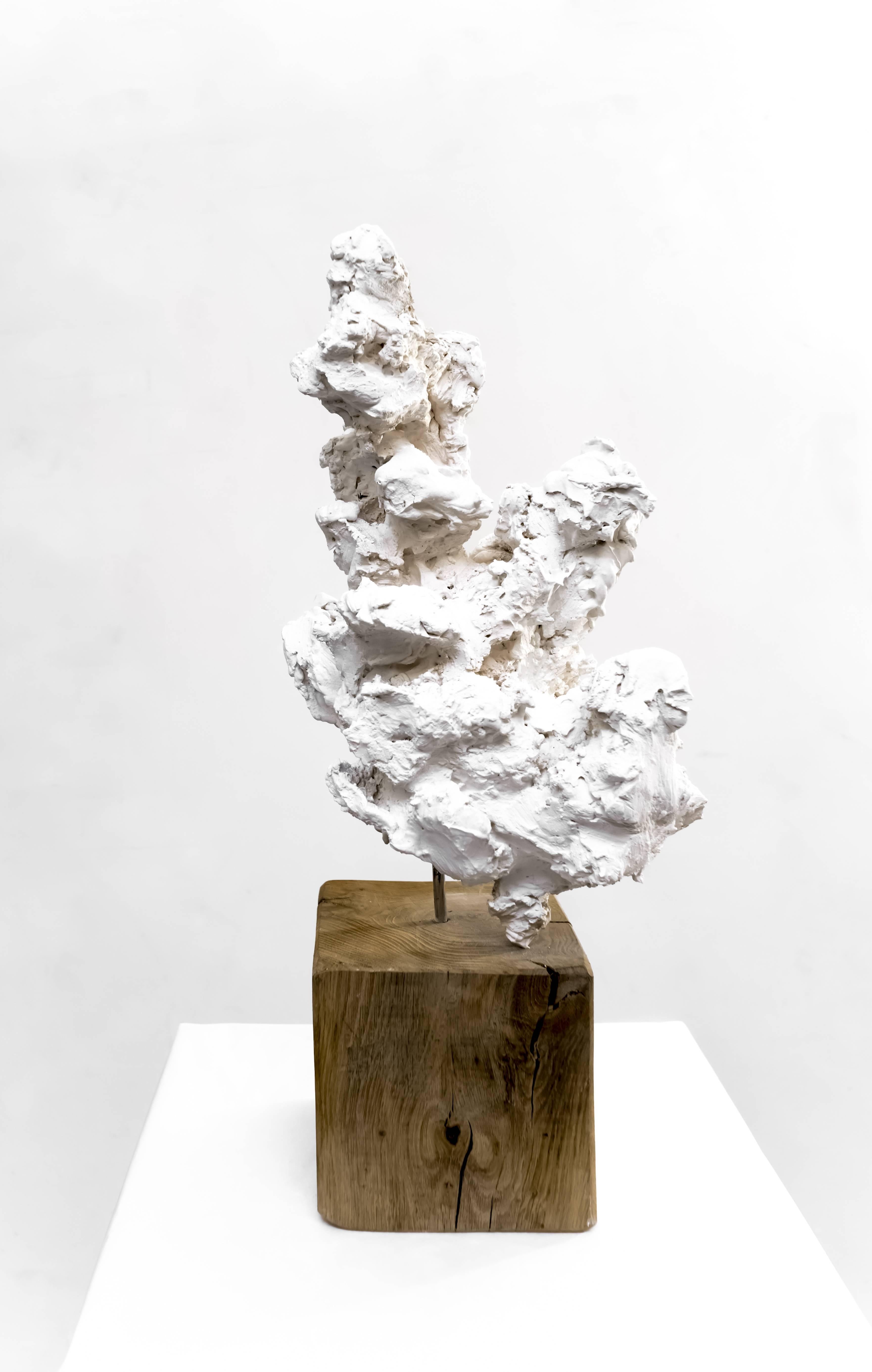 Guy Haddon Grant Abstract Sculpture - Cloud Studies no. 2 - Contemporary painted bronze and oak wood by Guy Haddon