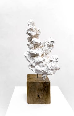 Cloud Studies no. 2 - Contemporary painted bronze and oak wood by Guy Haddon