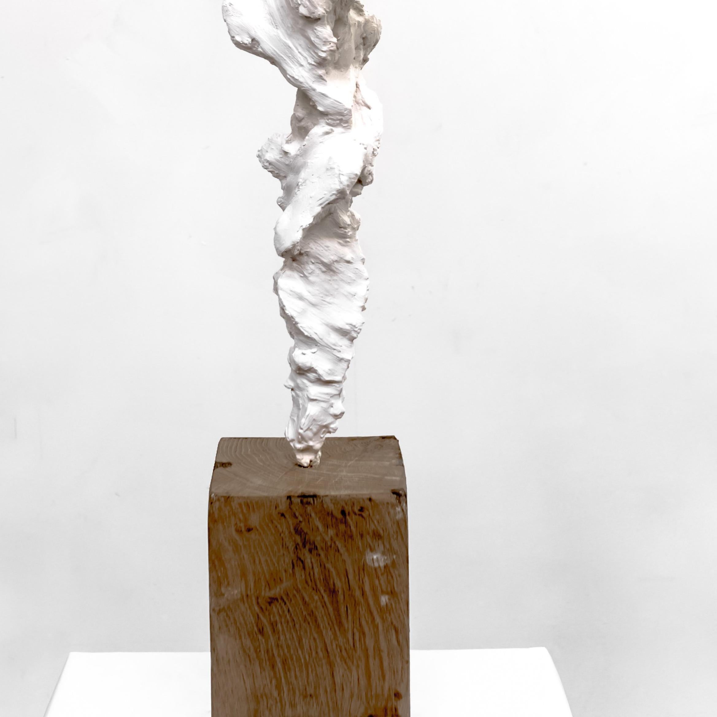Small Totem White no. 4 - Contemporary painted bronze and oak wood by Guy Haddon - Abstract Sculpture by Guy Haddon Grant