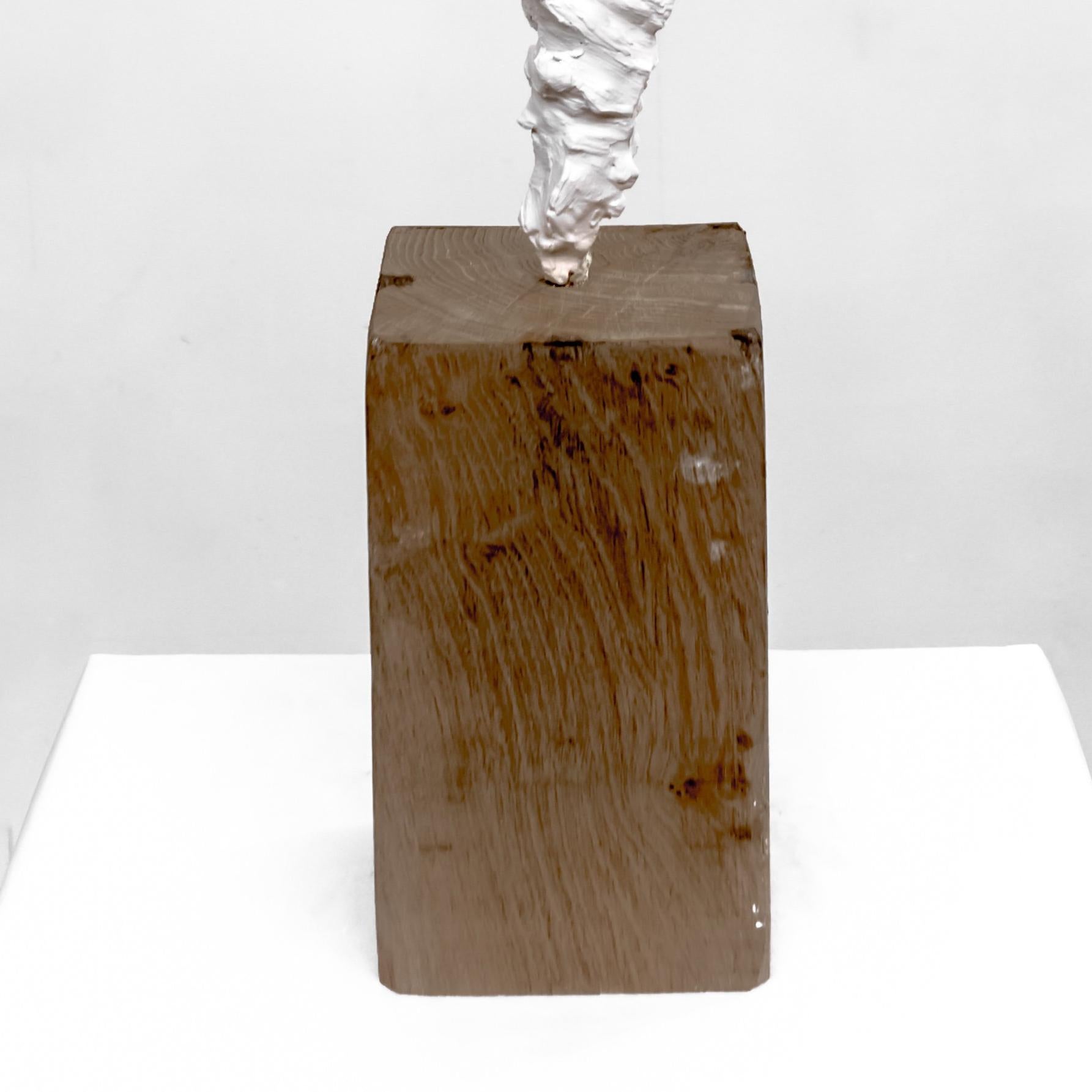 Small Totem White no. 4 - Contemporary painted bronze and oak wood by Guy Haddon - Brown Abstract Sculpture by Guy Haddon Grant
