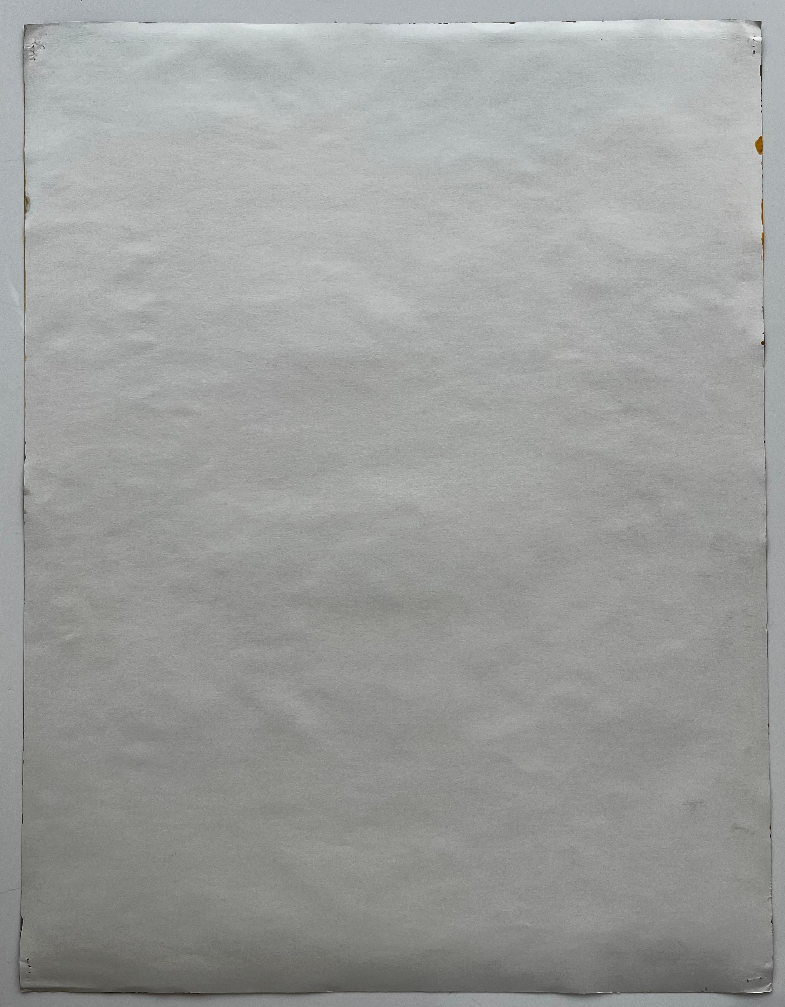 Weintrauben Weinflaschen Krug und Teller Goldene Draperie Französisch Modernist Stillleben im Angebot 3