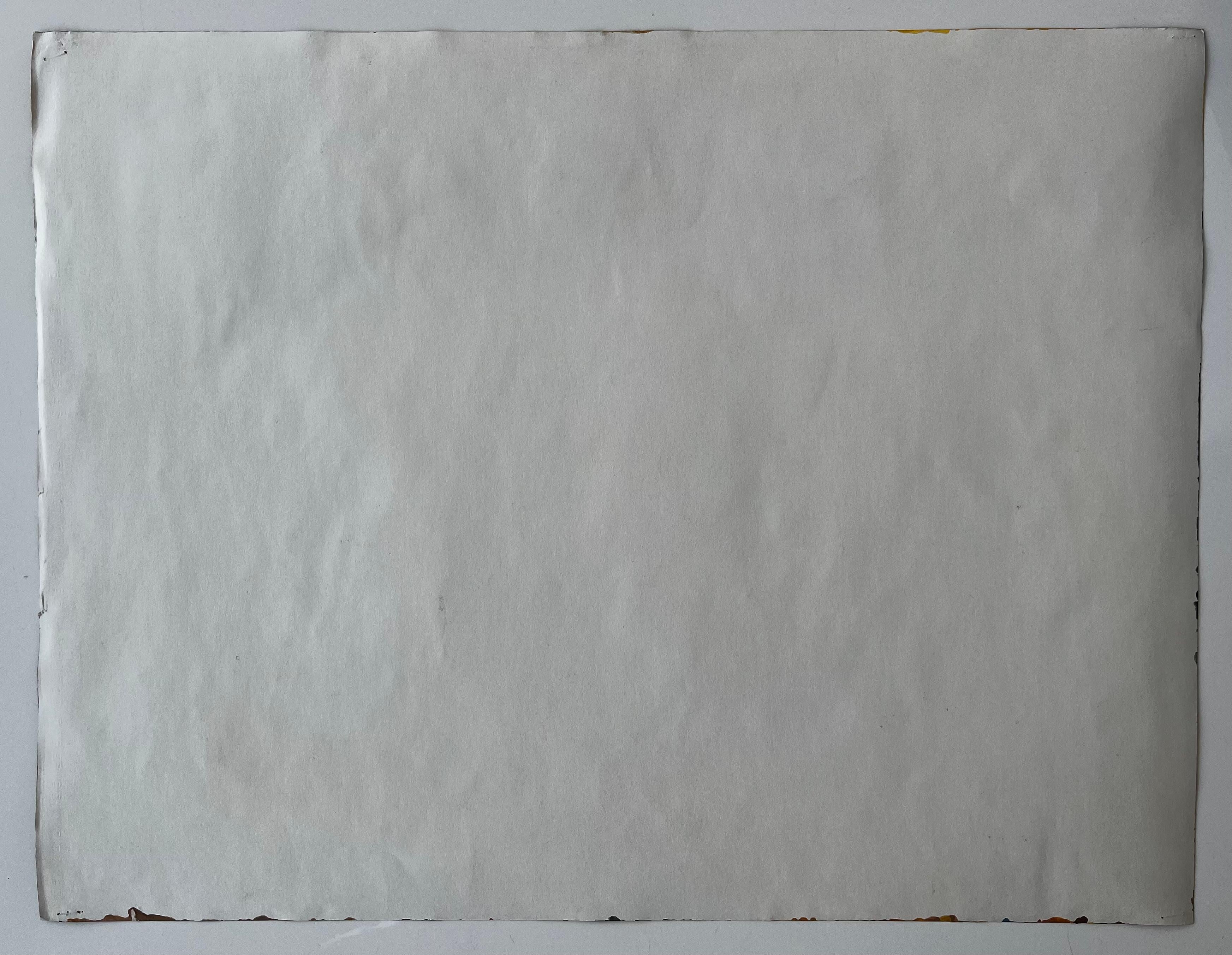 Grapes Wine Bottles Long Serving Platter and Jug Golden Drapery Modernist Piece en vente 3