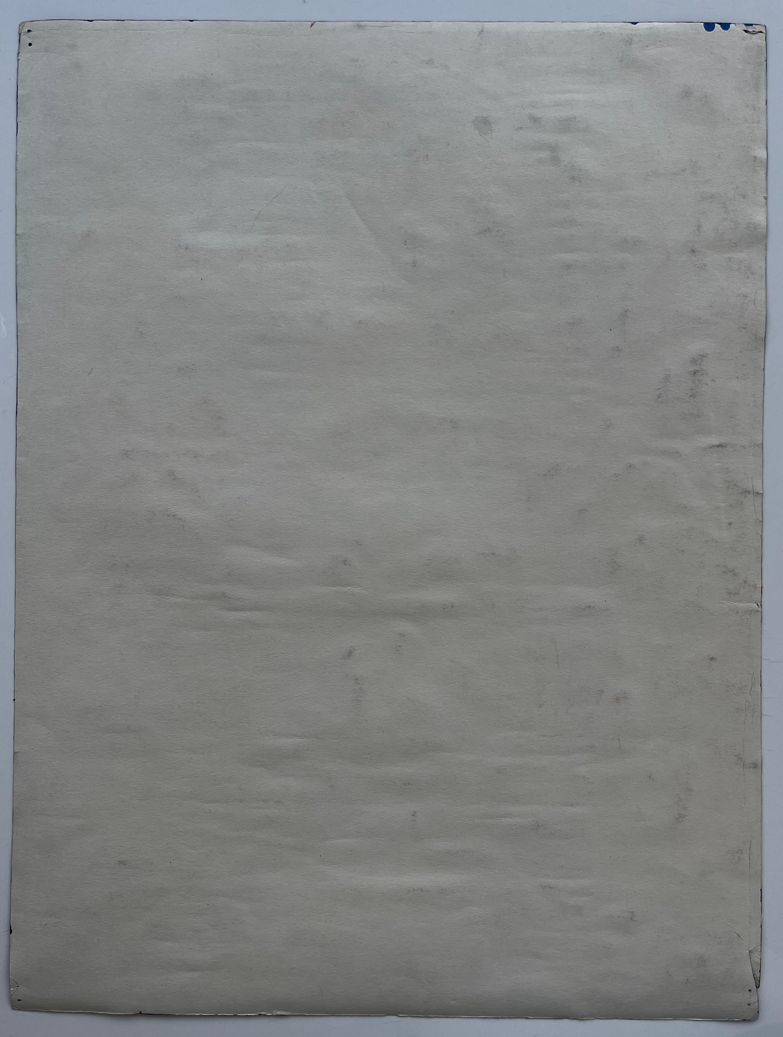 Ananas Granatäpfel Obst Display mit Blättern Regale Modernist Stillleben im Angebot 3