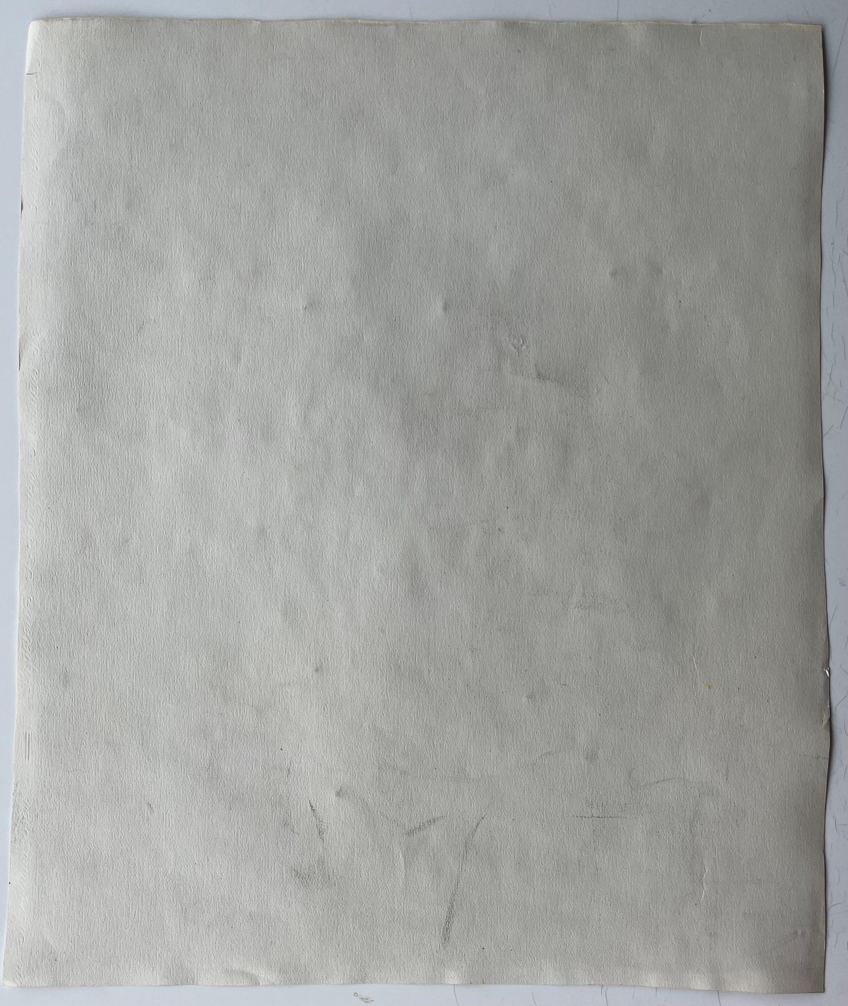 Stilleben mit blauem und grünem Laub Französische Gouache der Moderne im Angebot 4