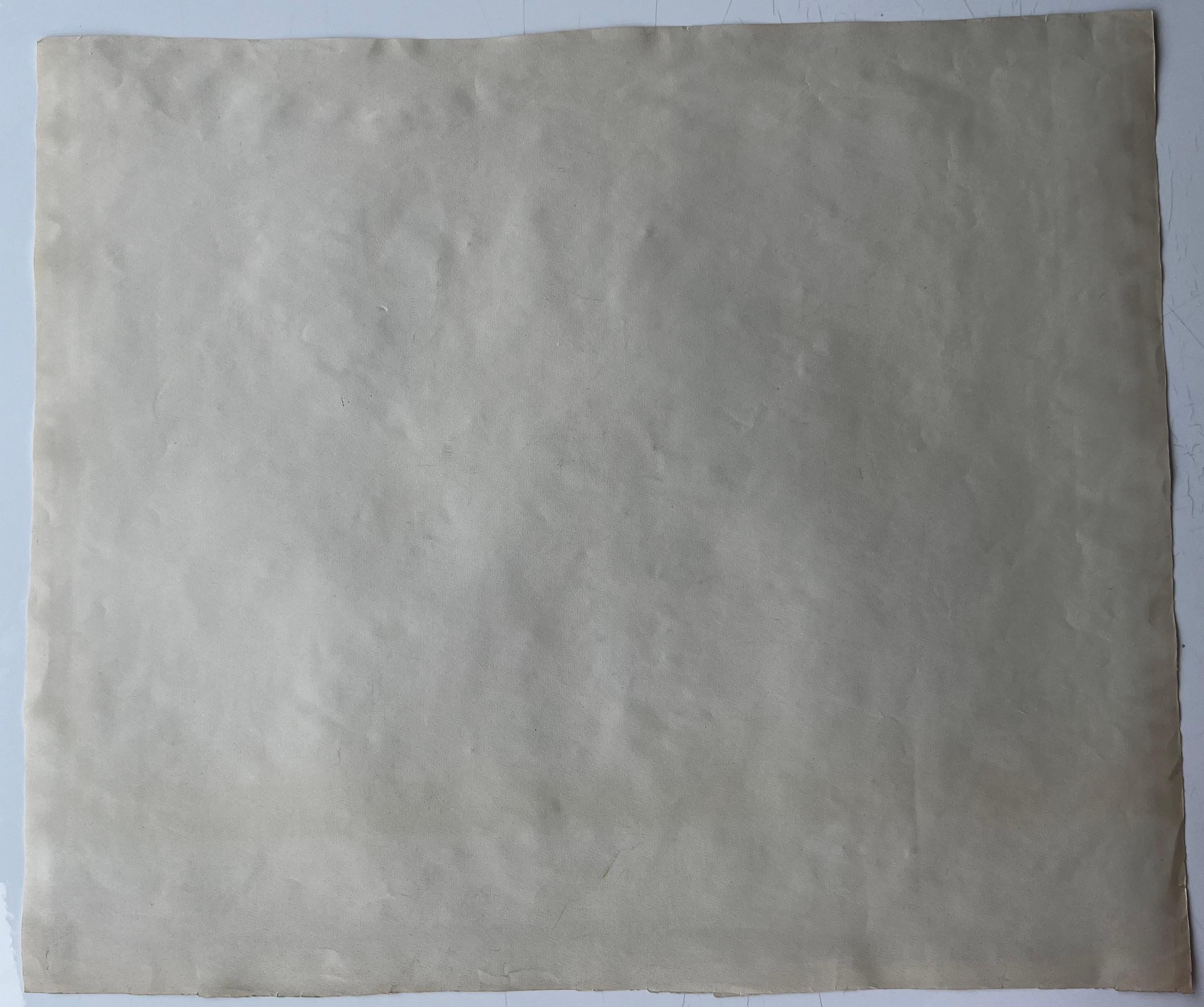 Still Life with Fish Shells and Fishing Net French Modernist Gouache For Sale 4