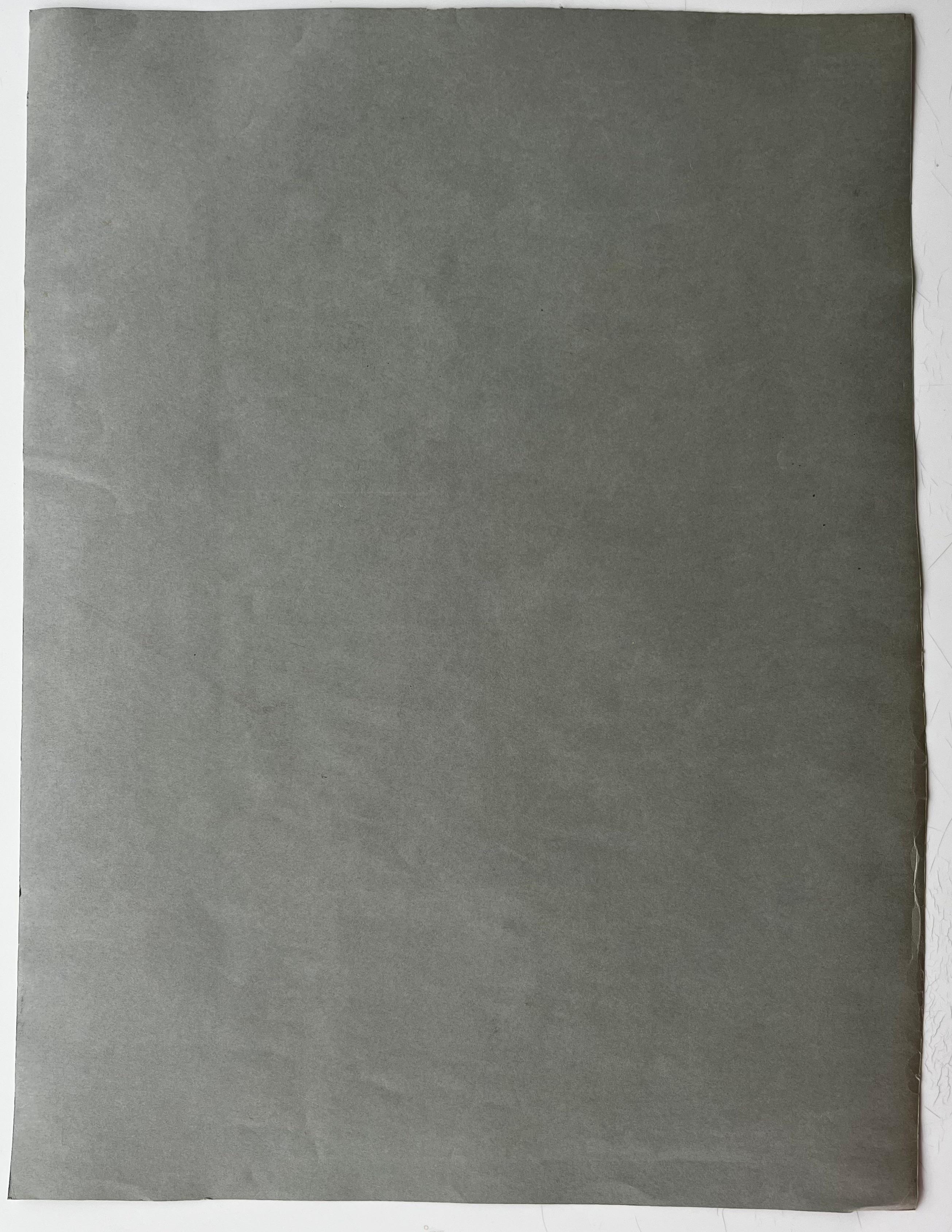 Lebendige Blumen und Ananas Stillleben Französisch Moderne Gouache-Gemälde im Angebot 4