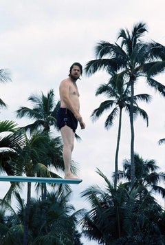 Brian Wilson, Diving