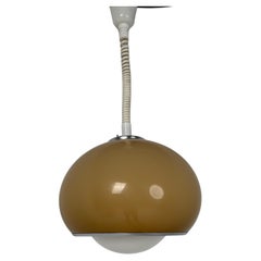 Vintage Guzzini Pendant Light Model "Bud"