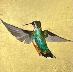 Hummingbird (260303)