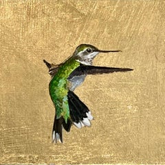 Hummingbird (260304)