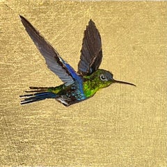 Hummingbird (260305)