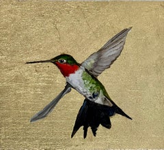 Hummingbird (260307)