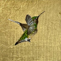 Hummingbird (260308)