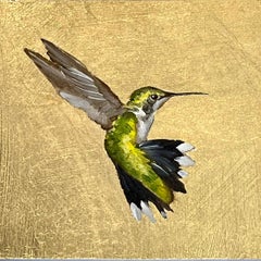 Hummingbird (260310)