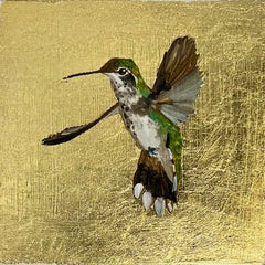 Hummingbird (260311)