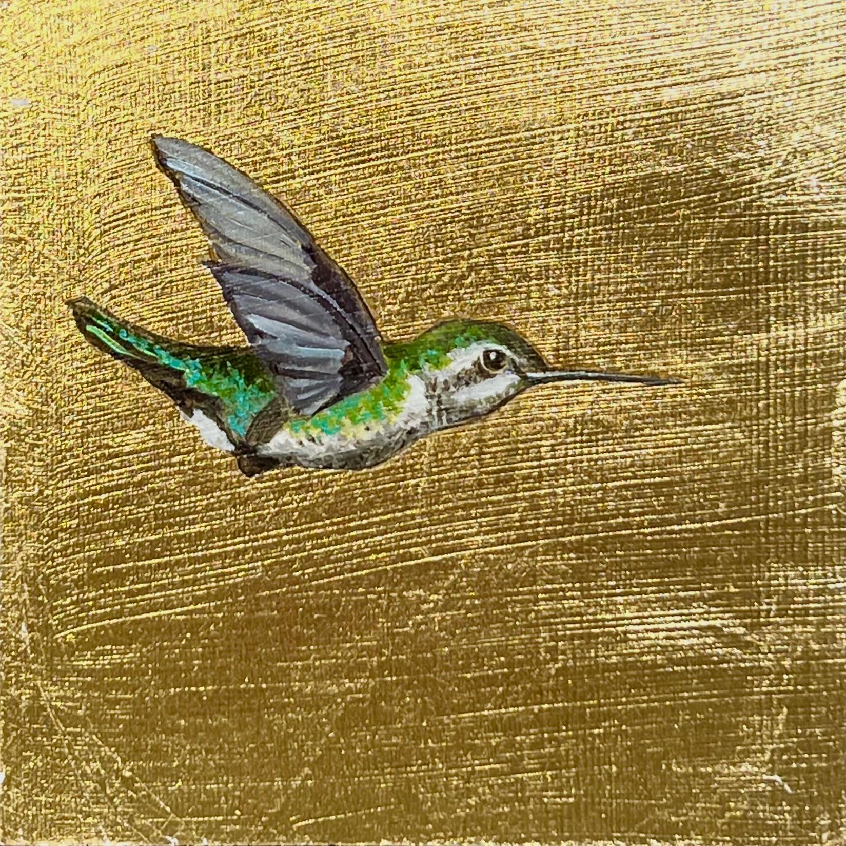 Colibrì IV