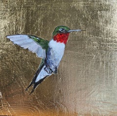 Kolibri XII