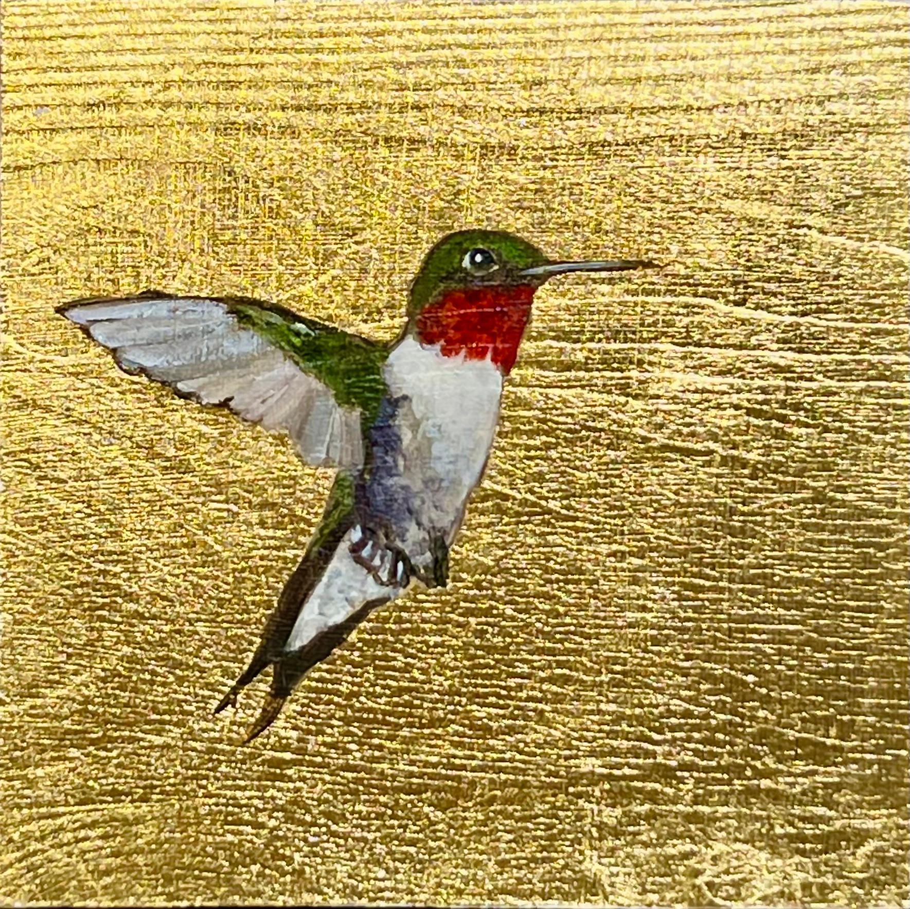 Colibrí XII