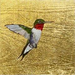 Colibri XII