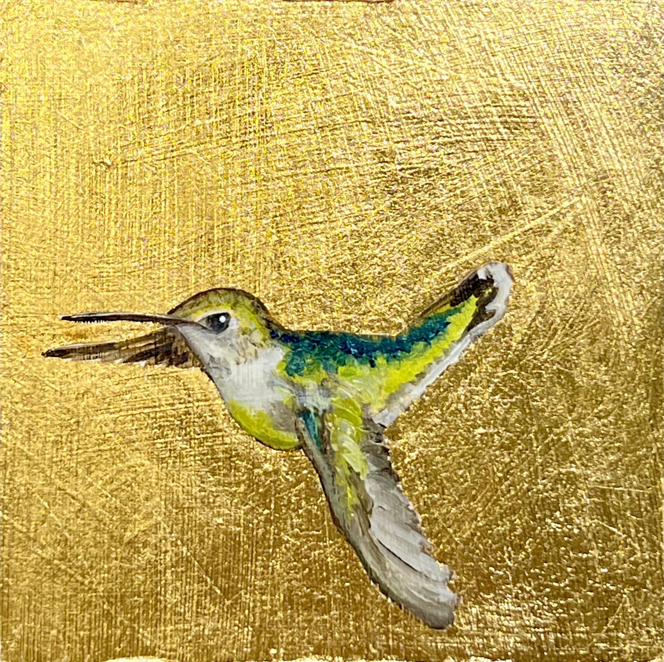 Colibrí XV