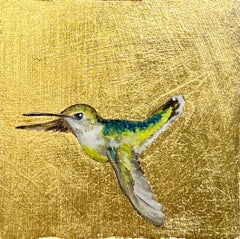 Colibrí XV
