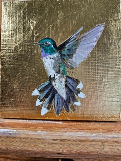 Kolibri XVI