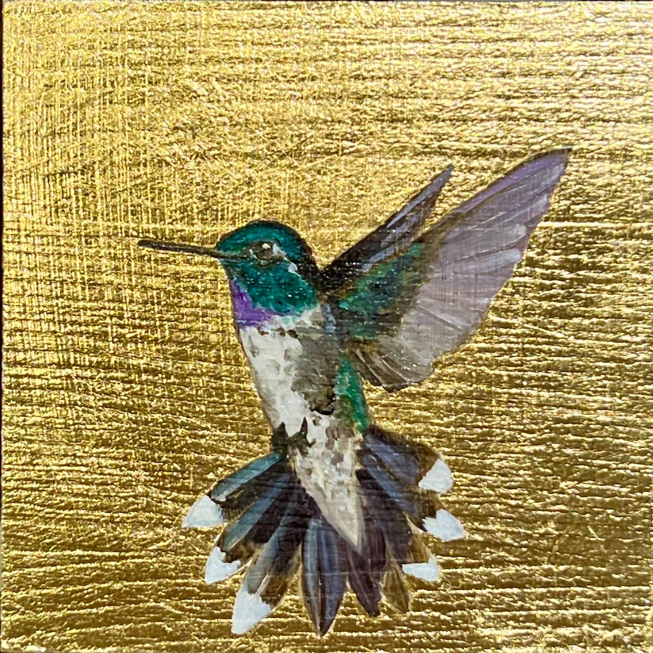 Hummingbird XVI
