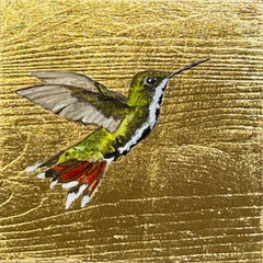 Hummingbird XVII