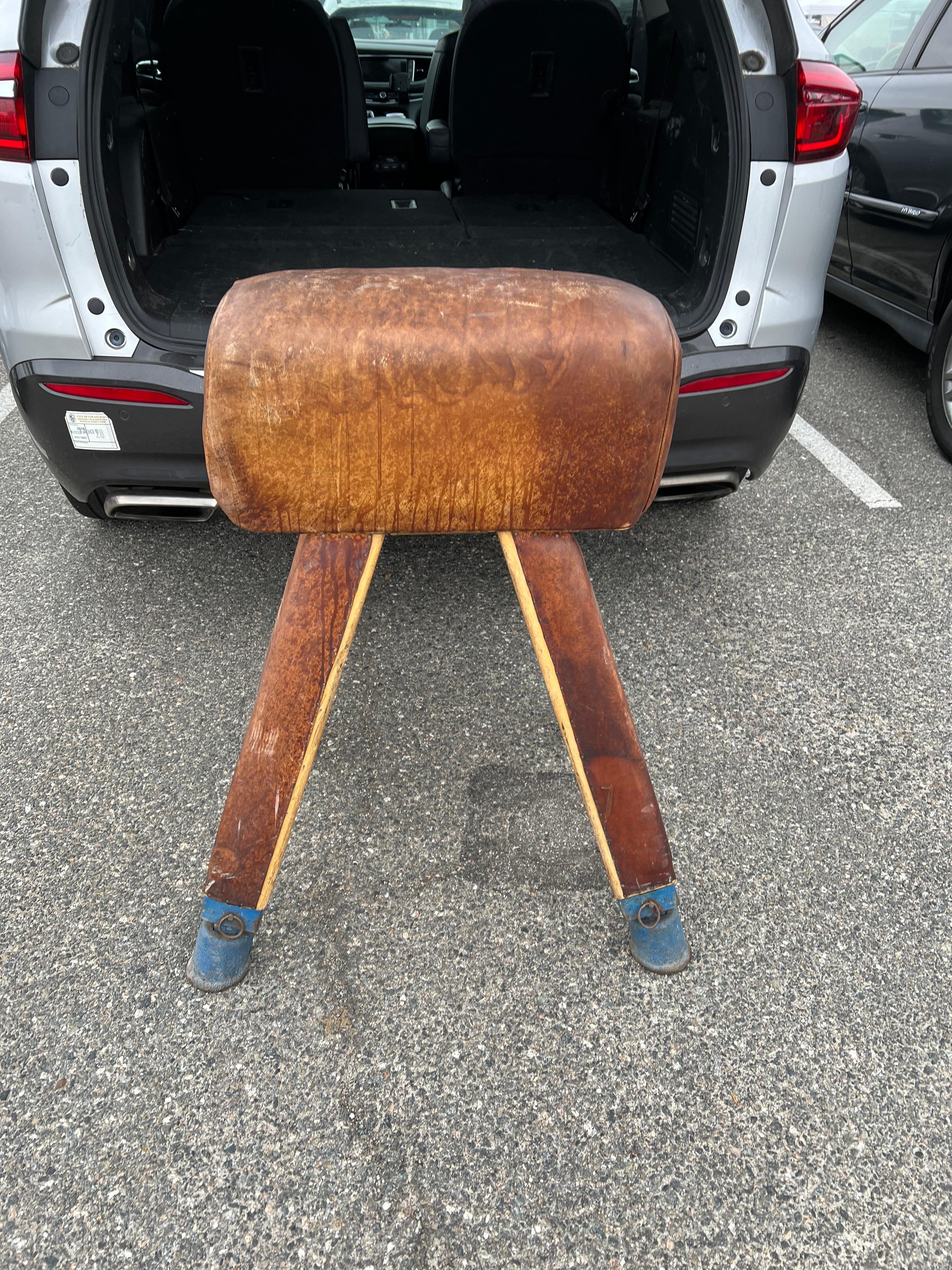 pommel horse saddle