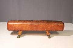 Gymnastic Leather Pommel Horse Bench  1920s