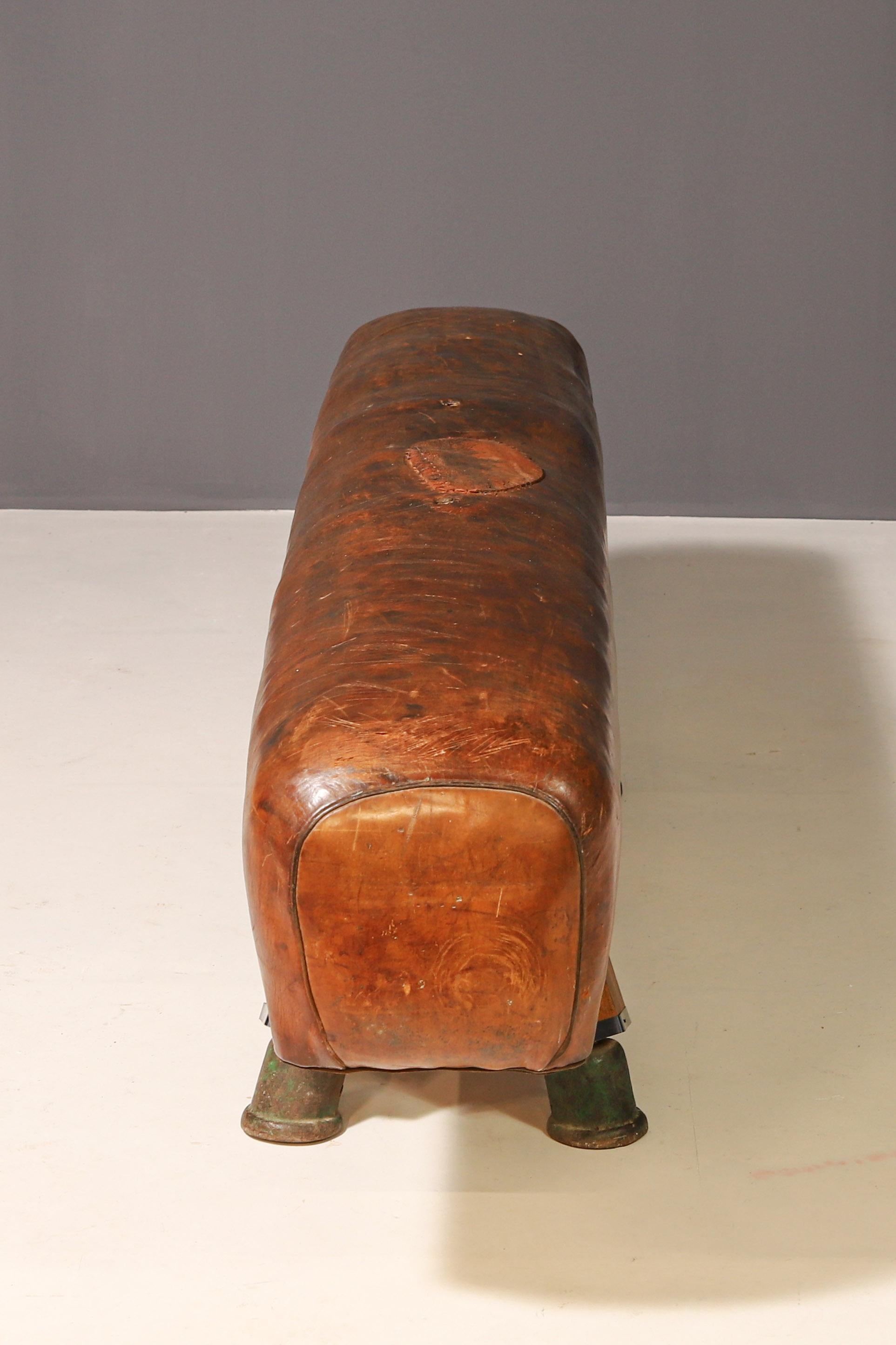 Gymnastische Pommel-Pferdenbank aus Leder  1920s (Tschechisch) im Angebot