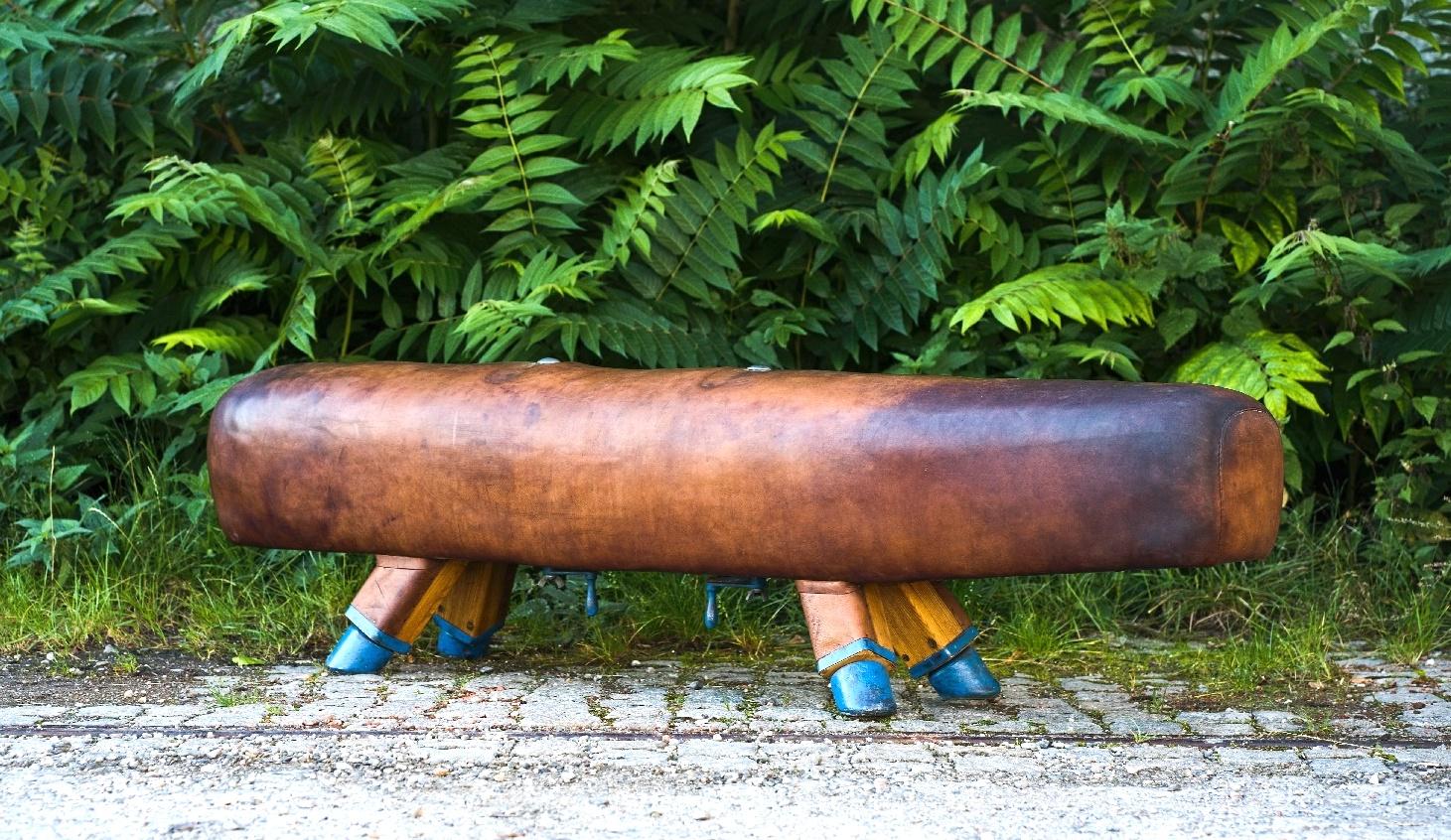 Industrial Long Gymnastic Leather Pommel Horse Bench with Wooden Handles, 1920s For Sale