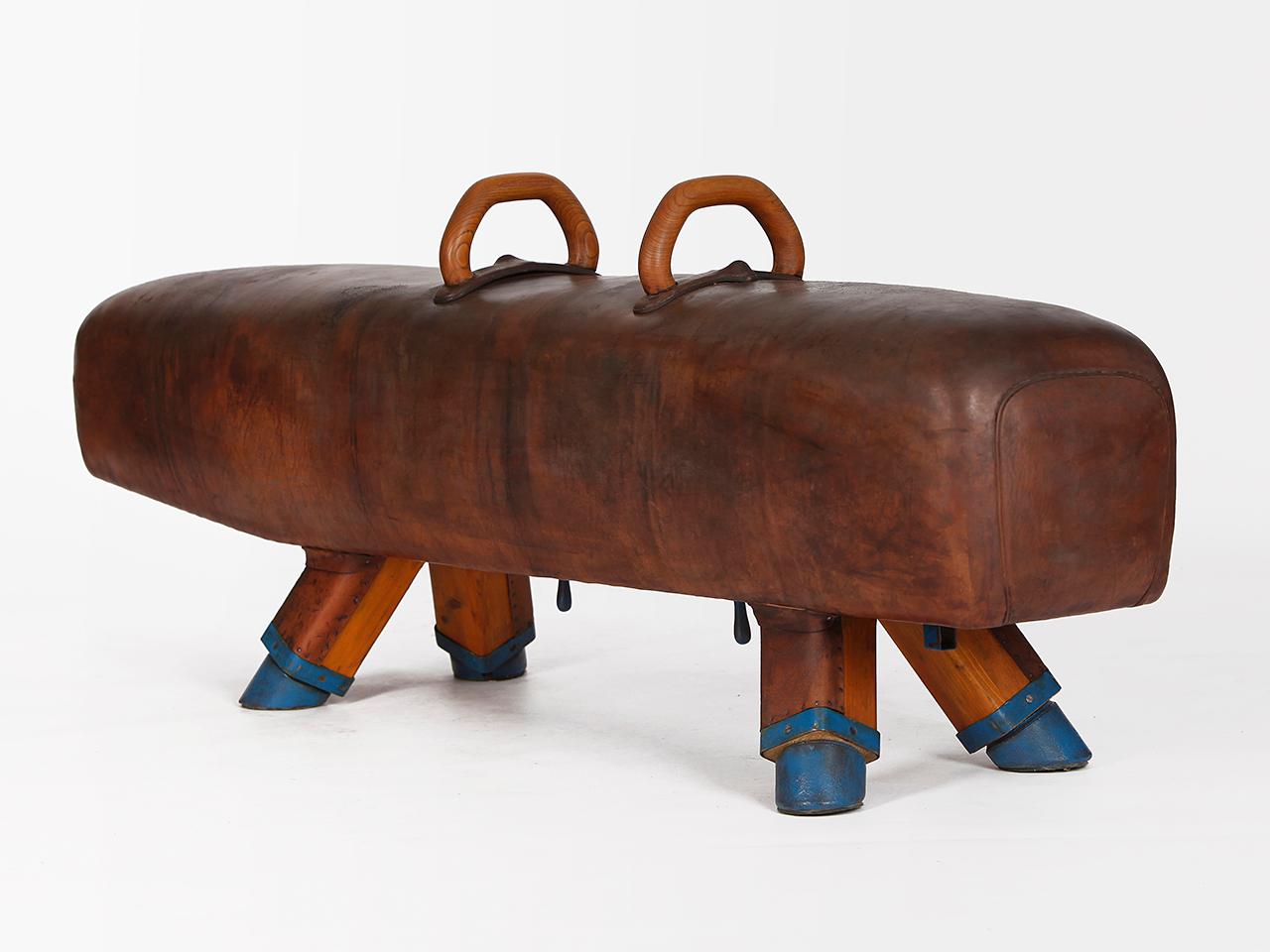 Gymnastic Leather Pommel Horse Bench, 1920s 1