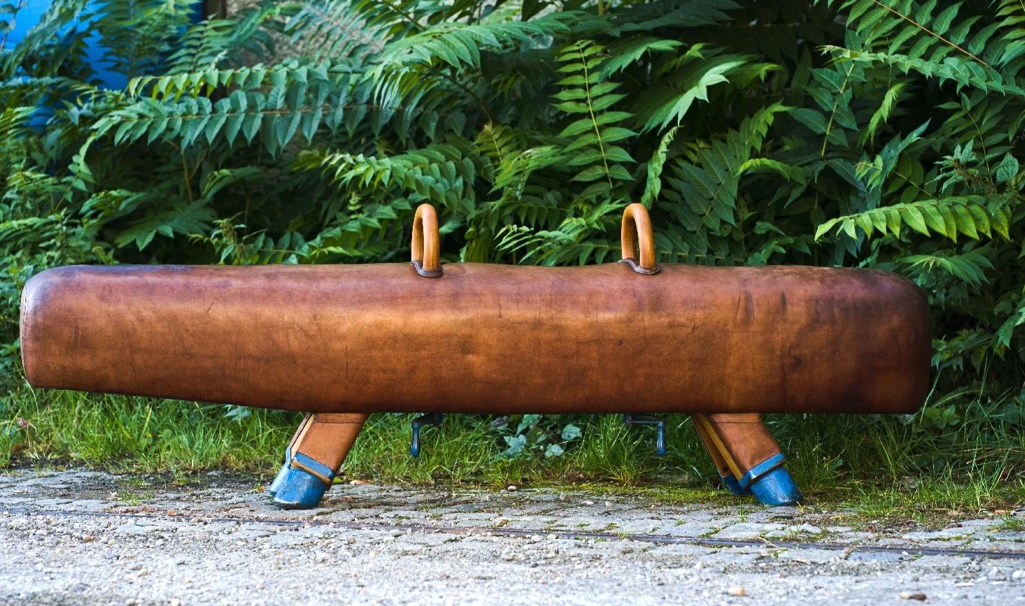 19th Century Long Gymnastic Leather Pommel Horse Bench with Wooden Handles, 1920s For Sale